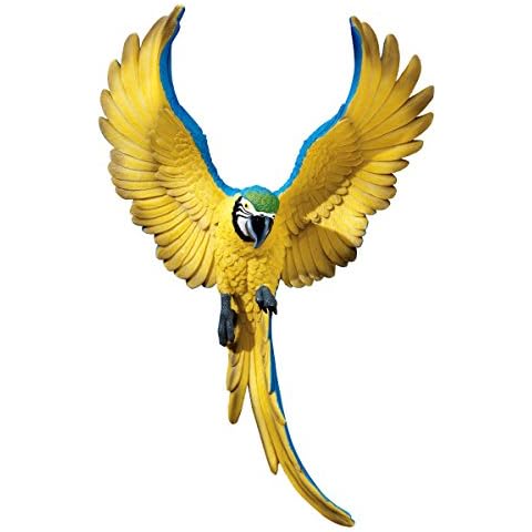 Design Toscano Flapping Macaw Wall Sculpture Cover