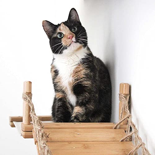 Puente Lounge para Gatos 50" Mueble de Pared Bambú miniatura 4