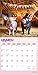 Pigsty | 2026 12 x 24 Inch (Hanging) Monthly Square Wall Calendar | Plastic-Free | BrownTrout | Domestic Pet Farm Animals