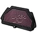 K&N Engine Air Filter: High Performance, Premium, Powersport Air Filter: Fits 2009-2019 KAWASAKI (Ninja ZX-6R, ZX-6R ABS, KRT Edition, 30th Anniversary, ZX600) KA-6009