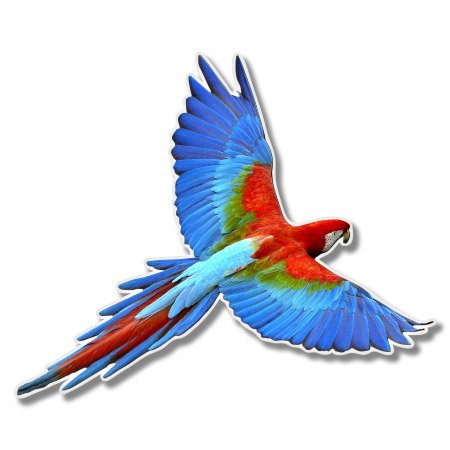 Red Macaw Vinyl Sticker - Car Window Bumper Laptop - Select Size