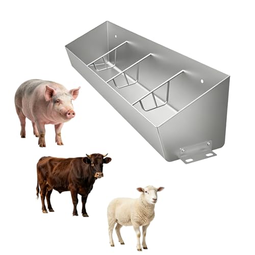 Mangeoire pour porcs anti-gaspillage à compartiments pour grand enclos