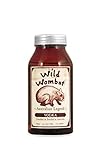 Wild Wombat