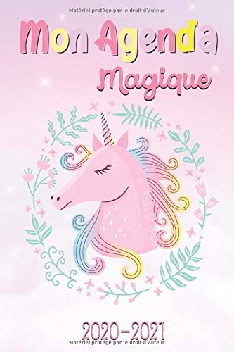 Télécharger Mon Agenda Magique - 2020-2021: Agenda Scolaire 2020-2021 – Organisateur Journalier – Idéal pou Gratuit