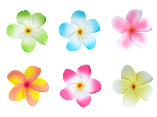 Bundle Monster Hawaiian Plumeria Flower Foam Hair Clip Accessory Set of 6 Jewelry