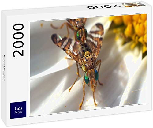 Preisvergleich Produktbild Lais Puzzle Fruchtfliegen 2000 Teile