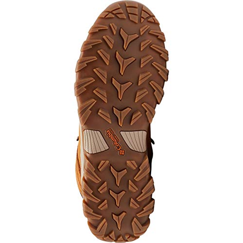 Columbia Men's Newton Ridge Plus II Suede Waterproof Hiking Shoe, Caramel/Blue Shadow, 11 Wide