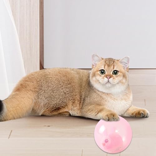 Bola rodante inteligente recargable para ejercicio de gatitos 4