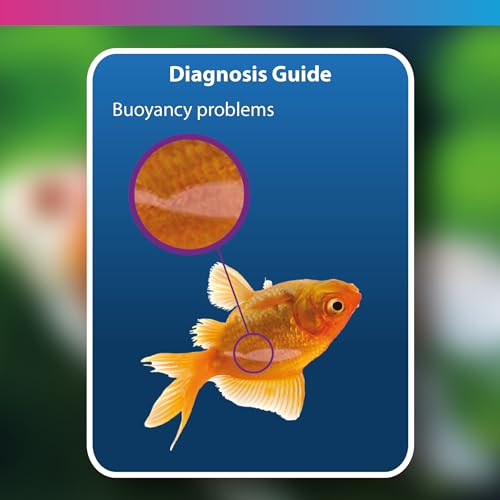NT Labs Aquarium Swimbladder Treatment, Tropical and Coldwater Aquarium Medicine, Treats Fish Buoyancy & Stability Issues, Treatment for Internal Bacterial Infections (100ml - Treats 500L) - Image 5