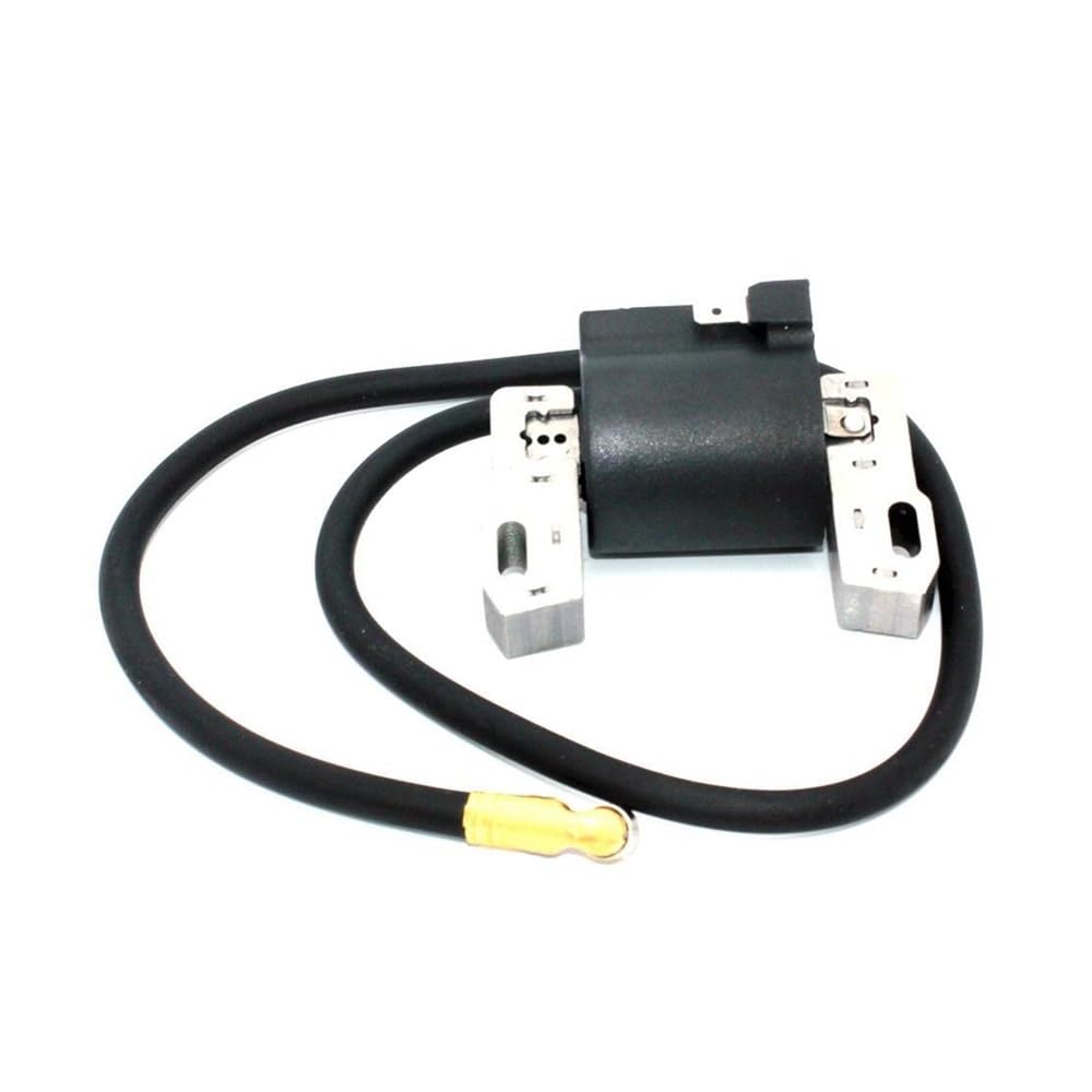Bobine d'allumage compatible 398811 pour retrouver un jardin impeccable sans effort