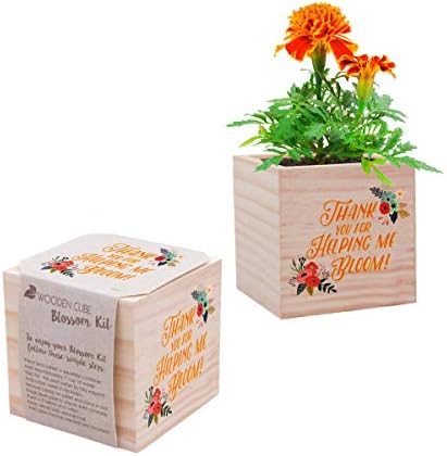 Desk Accessory for The Office - Tomato Plant Seed Packet, Peat Pellet, and Natural Pine Wooden 3x3 inch Cube Planter - Employee Appreciation Gift -"Grateful for You"