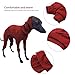 Xoeryoy Greyhound Sweater for Dogs, Cotton Greyhound Pajamas Four-Legged Clothes Hooded Whippet Pajamas Stretchable Warm Dog Coat L