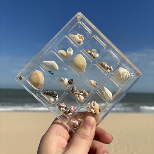 Image of Acrylic Magnetic Seashell Display Box,DIY Seashell Display Box,Clear Storage Box for Seashell,Gemstones,Nail,Jewelry (1Pc 16 Grids Medium)