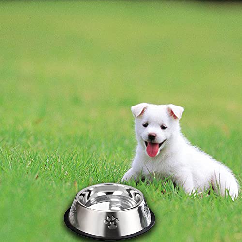 YUDANSI 2 Stainless Steel Dog Bowls, Dog Feeding Bowls, Dog Plate Bowls with Rubber Base,Small Pet Feeder Bowls and… - Image 6