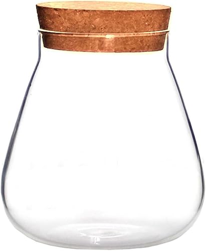 HOMSFOU Tarro redondo de vidrio para plantas, terrario, maceta suculenta de mesa, bolas de musgo, florero, botella de deseos, tarro de galletas de