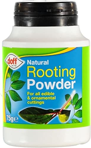 CUQOO Premium Rooting Powder for Healthy Roots – Organic Rooting Hormone for Cutting - Rooting Powder For Cuttings & Promotes Strong Healthy Roots – Natural Rooting Powder for All Edible (1 Pack)