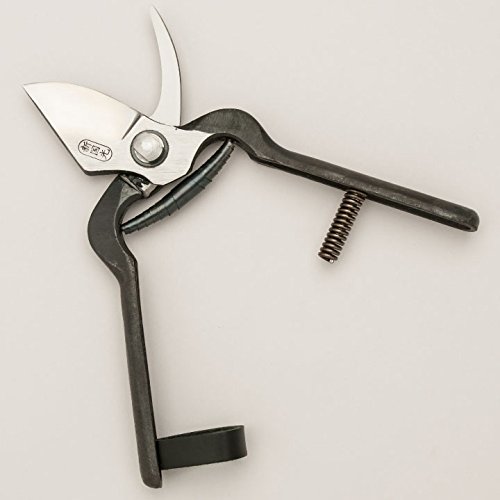 Amazon | 東北打刃物 新国光 剪定鋏 情張型 | 園芸用はさみ