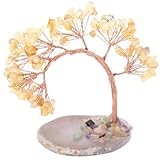 LOKORI Cristalli Curativi Chakra Naturali Albero Albero dei Soldi Fetta di Agata Base Feng Shui Bonsai Albero di Cristallo per Decorazioni da Tavolo per Casa e Ufficio a Energia Positiva,A
