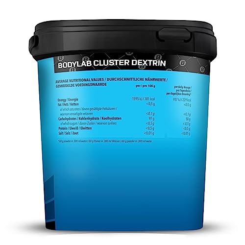Bodylab24 Cluster Dextrin 1kg, 100% hochverzweigtes zyklisches Dextrin, ohne Zusätze, geschmacksneutral