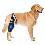 FlexiPaw Dog Knee Brace for Torn ACL Hind Leg CCL, Luxating Patella & Hip Support with Cold Therapy, Stabilizer Rods, Anti-Slip Torso Strap & Reflective Trim Rear Leg Brace (Large)