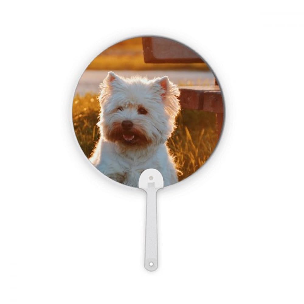 Éventail rond en plastique pour chien Blanc accessoire fraîcheur été canicule