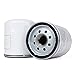 MowerPartsGroup (2) Bad Boy ZT Elite Hydraulic Filters 063-1050-00 2800 3100 3200 Hydro Gear