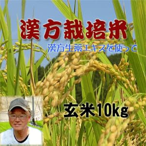  10kg V   ĐHS Y    GLX͔| RLȎR炿 ߘa7NY 10L _ƒ