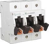 Worldwide Eaton Warranty Eaton 248237 Sicherungs-Lasttrennschalter, 63A, 1p+N