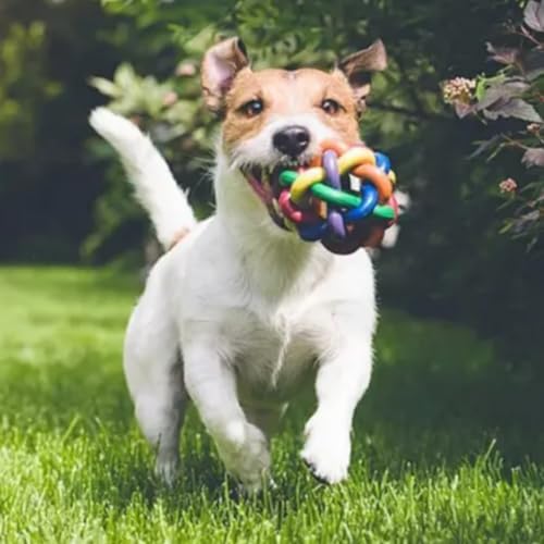 Kit 5 Brinquedos Cachorro Cão Gato Pet Resistente Interativo