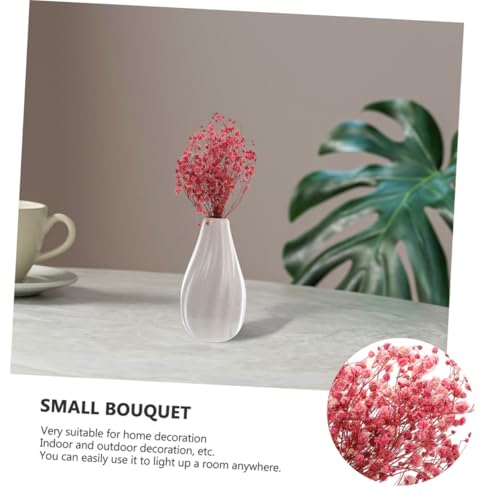 Set 6 Mini Ramos de Flores Secas Babys Breath miniatura 6