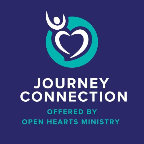 Couverture de Journey Connection