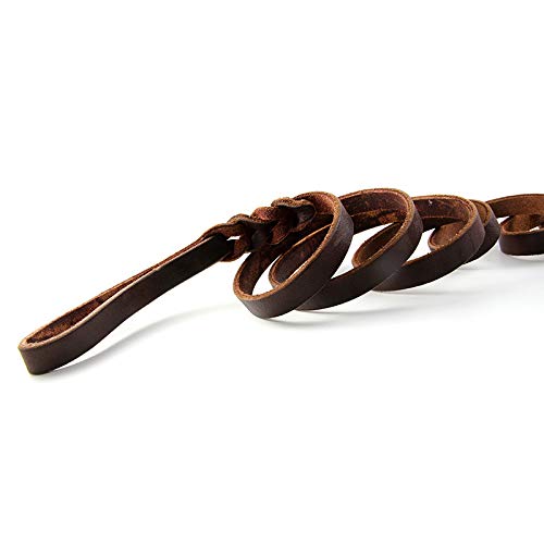 Petiry Genuine Leather Dog Leash, Braided Heavy Duty Leash,Soft And Durable For Small Medium Large Dogs Walking And Trainning 5.5 Feet #TOP4