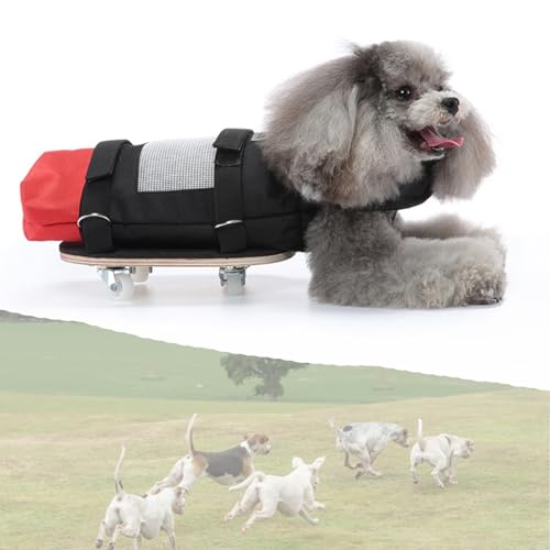 Chariot pour petit chien handicapé réglable à 4 roues - 4