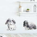 Funny Animal Wall Decals DIY Window Stickers Peel & Stick Wall Art for Kids Room Toddler Classroom N