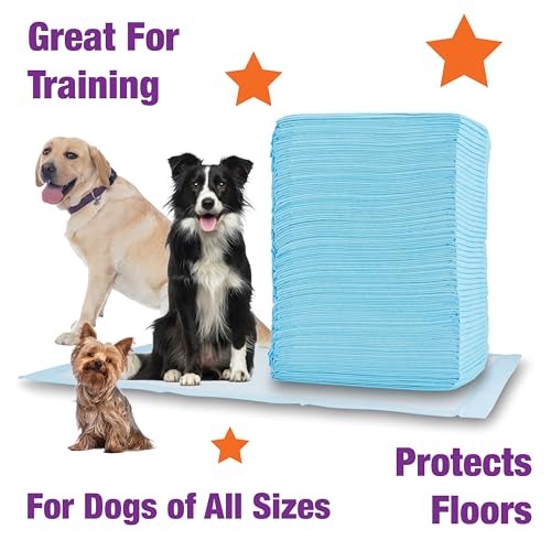 Image of Cudlie Training Pads for Dogs, 50 Count ,26 inchx30 inch| Puppy Pee Pads for Dogs | Absorbent Dog & Puppy Supplies for Dog Training and House Training