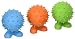 (3 Pack) JW Spiky Cuz Assistant Toy, Small, Multicolor - Colors May Vary