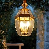Kviflon Rustic Outdoor Porch Pendant Light with Glass Cage, Farmhouse Vintage Gold Brass Kitchen Isl