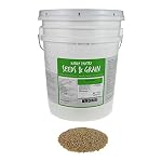Barley Flour