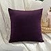 MIULEE Terciopelo Funda de Cojine Funda de Almohada del Sofá Throw Cojín Decoración Almohada Caso de la Cubierta Decorativopara Sala de Estar 30 x 30cm 12 x 12 Pulgadas 1 Pieza Berenjena Morada