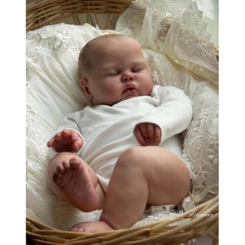 Lonian Big Chubby 24 Inch Real Life Silicone Newborn Reborn Doll That Look Real Life Like Babies Realistic Veins for Collectors