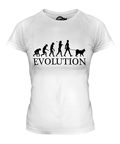 Candymix - Schipperke Evolution of Man - Ladies Fitted T Shirt Top T-Shirt, Size 2X-Large, Colour White