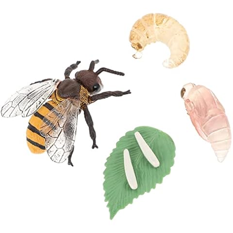 GANAZONO Bee Growth Cycle Insect Bee Life Cycle Model Honey Bee Figurine Toys Fake Bug Insect Cognitive Toys for Kids Education Insect Themed Party Favors Cover