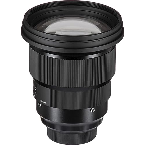 Sigma 14-24mm lens