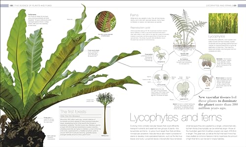 Image of Plants and Fungi: The Definitive Visual Encyclopedia