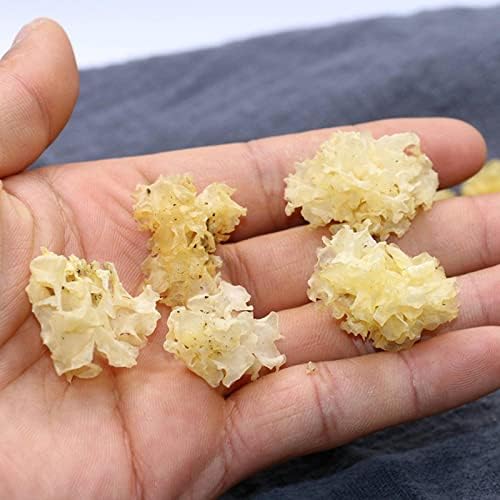HATEGE Yunnan Small Tremella, a Kind of semi-Transparent White Fungus Basswood Tremella, a Kind of semi-Transparent White Fungus Fungus Tremella Sticky Tremella Dry Goods delivery Bulk