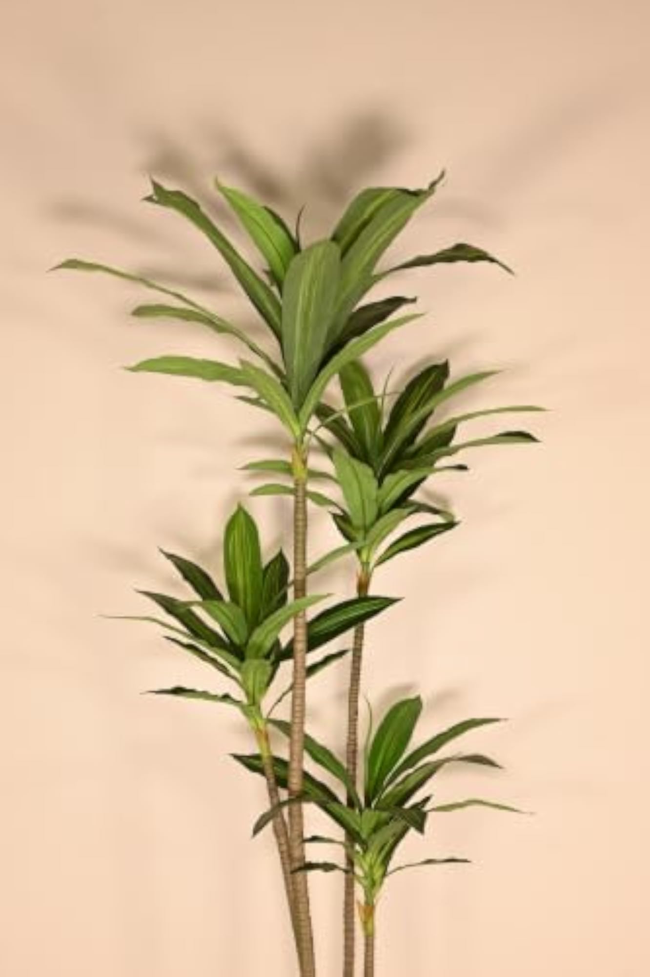 Premium Artificial Dracaena Plant with Basic Pot