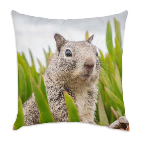 Fabulous Coussin en Velours Blanc - Marmotte dans l'herbe Animal Sauvage Mignon Photo Nature - 40 x 40 cm - Toucher Velours - Housse et Coussin Inclus