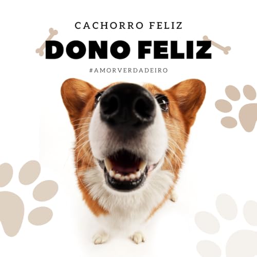 Brinquedos para Cães, Brinquedo pet, Brinquedo para Cachorro Kit com 4 Mordedores Pelúcia Bolinha Os