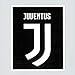 ユベントス エンブレム・ステッカー〔st312〕