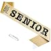 SKJIAYEE Class of 2026 Senior Sash, Gold Soft Sparkle Fabric Senior 2026 Sash with Foil Letters Decorations for Graduation Party, Cheerleader Finally Graduated, Class Competition Accessories